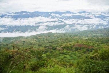 Kolombiya And Dağları, bulutlarla kaplı yeşil bitki örtüsü..