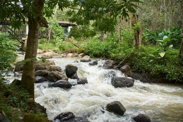 El Gallineral Park 'taki Fonce Nehri ve Aşk Köprüsü, San Gil, Santander, Kolombiya.