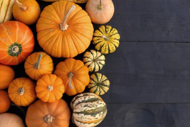 Pumpkins autumn food background. Vector illustration.