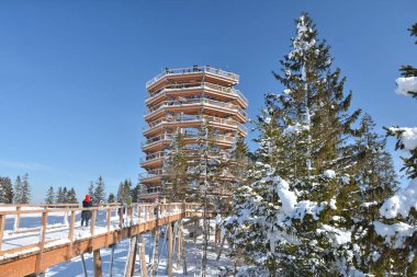 Ağaç tepesi Slovakya 'daki Bachledova vadisinde Bachledka' da yürüyor. Ağaçların üzerindeki manzaralı ahşap köprü.