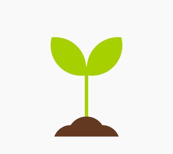 Liten Planteringsikon Vårväxt Vektorillustration — Stock vektor