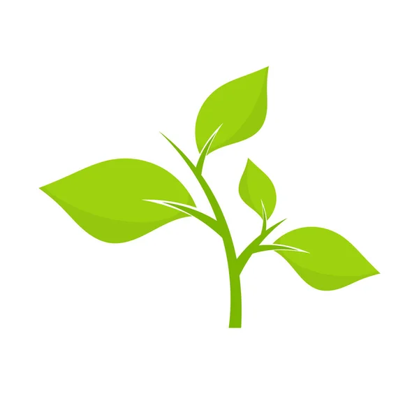 Plante Verte Symbole Conception Plate Icône Végétale Illustration Vectorielle — Image vectorielle