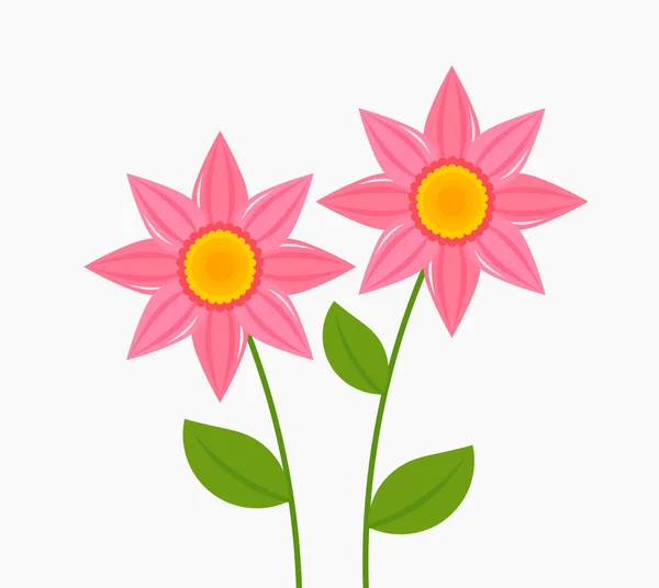 Pink Flowers Growing Blooming Isolated White Background Vector Illustration — Stock Vector