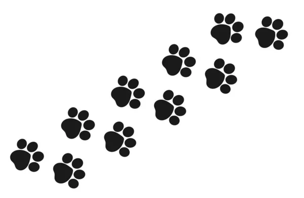 Impronte Delle Zampe Tracciano Gatto Isolato Sfondo Bianco Illustrazione Vettoriale — Vettoriale Stock