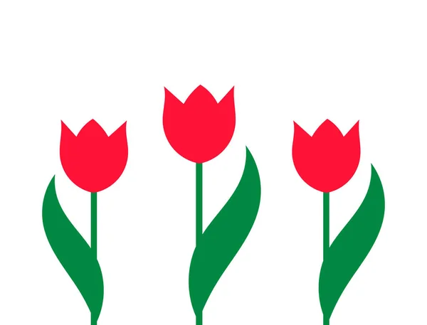 Red Tulips Spring Flowers White Background Vector Illustration — Stock Vector