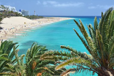 Fuerteventura adasındaki Morro Jable plajı. Güzel turkuaz okyanus.