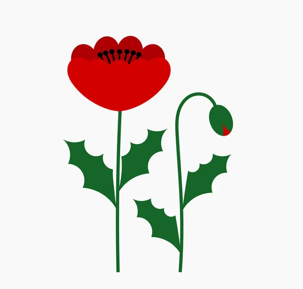 Poppy Flowers Plants Vector Illustration — Stock Vector