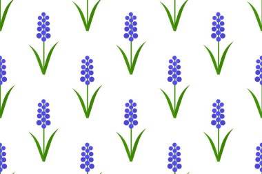 Üzüm sümbülleri bahar çiçekleri pürüzsüz desenli. Mavi muscari sonsuz desen. Vektör illüstrasyonu.