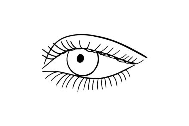 Makyajlı güzel kadın gözleri. 