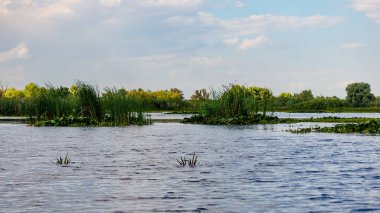Romanya 'daki Tuna Deltası' nın bataklıkları ve çölleri