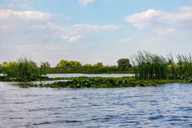 Romanya 'daki Tuna Deltası' nın bataklıkları ve çölleri