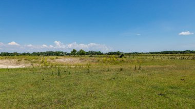 Romanya 'daki Tuna Deltası' nın bataklıkları ve çölleri