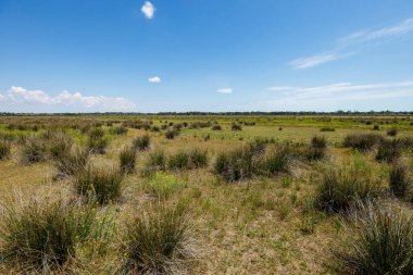 Romanya 'daki Tuna Deltası' nın bataklıkları ve çölleri