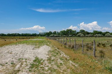 Romanya 'daki Tuna Deltası' nın bataklıkları ve çölleri