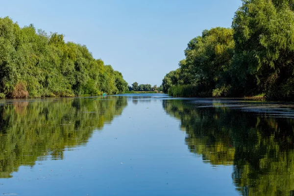 罗马尼亚多瑙河三角洲的沼泽地和荒野 — 图库照片