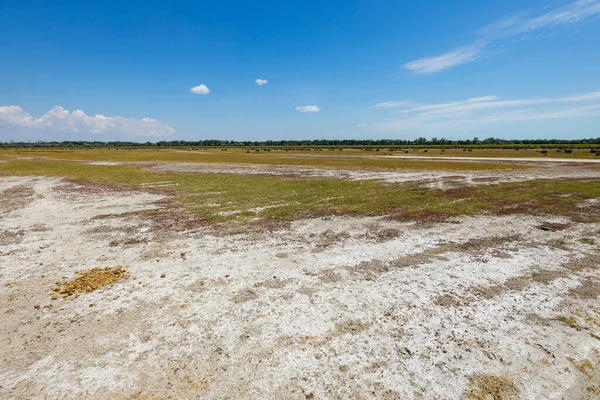 stock image The swamps and wilderness of the Danube Delta in Romania