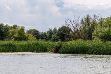 Romanya 'daki Tuna Deltası' nın bataklıkları ve çölleri