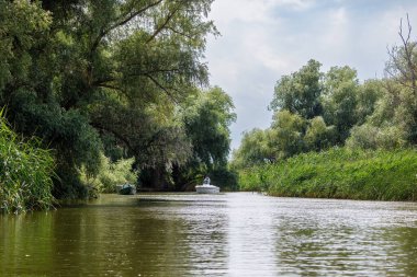 Romanya 'daki Tuna Deltası' nın bataklıkları ve çölleri