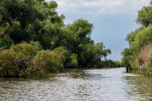 stock image The swamps and wilderness of the Danube Delta in Romania