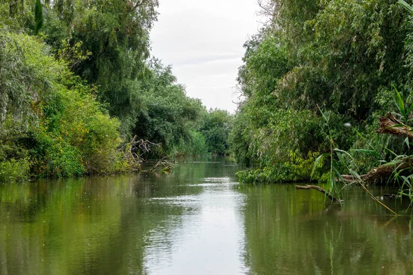 Wilderness Danube Delta — Stock Photo, Image