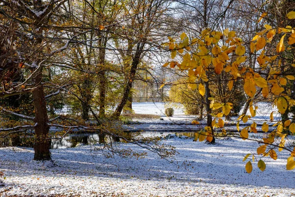 Ein Landschaftspark Der Wintersaison — Stockfoto