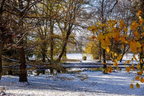 Пейзажный Парк Зимний Сезон — стоковое фото