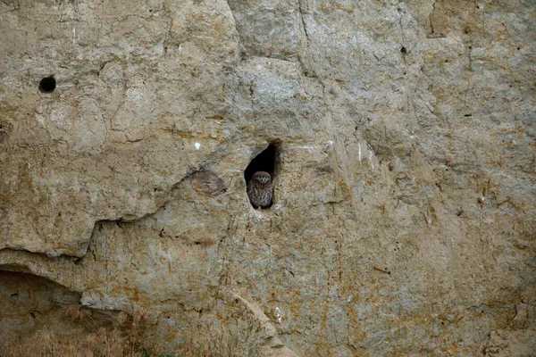 Små Ugglorna Grotta Donaudeltat Rumänien — Stockfoto