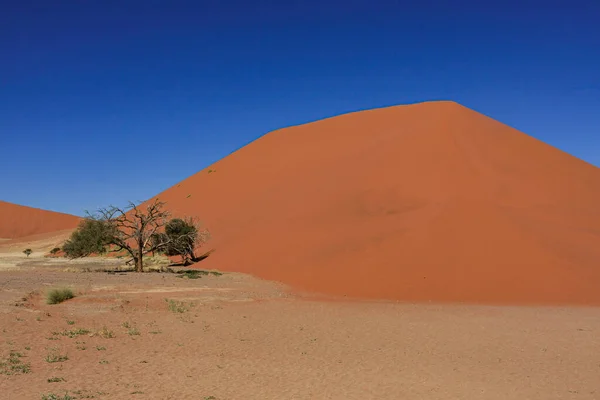 Wydmy Piaskowe Sossusvlei Namibii — Zdjęcie stockowe
