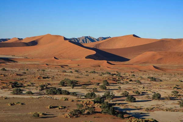Písečné Duny Sossusvlei Namibii — Stock fotografie