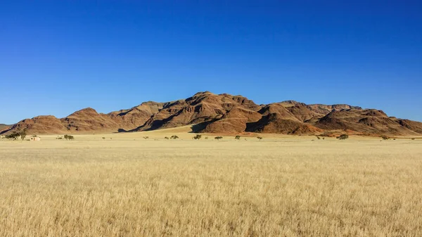 Het Savannah Landschap Van Namibië — Stockfoto