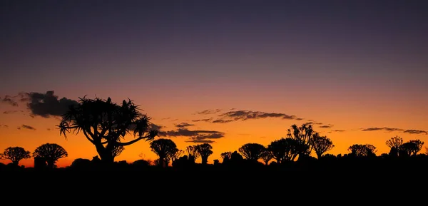 Закат Ландшафте Африки — стоковое фото