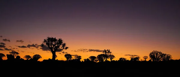 Sunset Landscape Namibia Africa — Stock Photo, Image