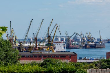 Romanya 'nın Karadeniz kıyısındaki Köstence Limanı, 24 Haziran 2023