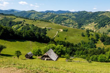 Romanya 'nın Bran kentindeki Karpatya manzarası