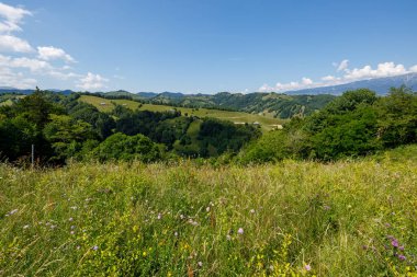 Romanya 'nın Bran kentindeki Karpatya manzarası