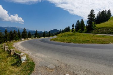 Romanya 'nın Bran kentindeki Karpatya manzarası