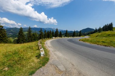 Romanya 'nın Bran kentindeki Karpatya manzarası
