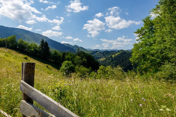 Romanya 'nın Bran kentindeki Karpatya manzarası