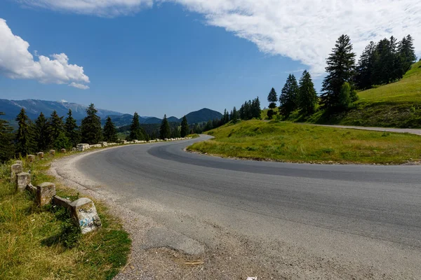 Romanya 'nın Bran kentindeki Karpatya manzarası