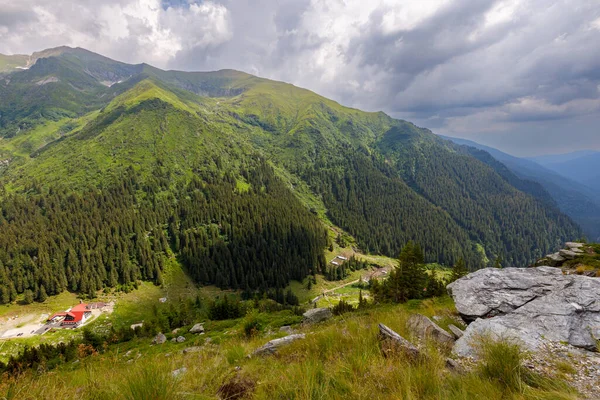 Der Karpatenwald Rumänien — Stockfoto