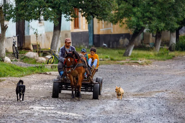2022年7月15日ルーマニアのヴィスクリ村での馬車の運転 — ストック写真