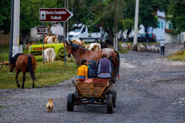 루마니아의 비스크 마을에서 마차를 2022 — 스톡 사진