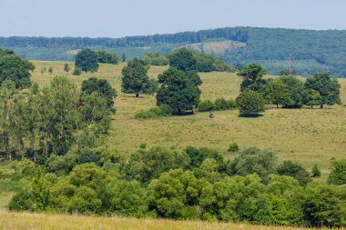Romanya 'daki Viscri Manzarası