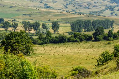 Romanya 'daki Viscri Manzarası