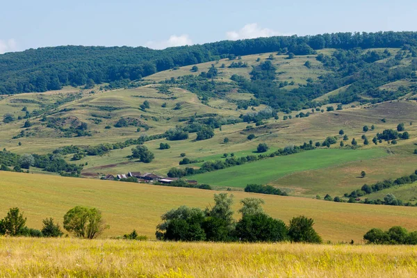 Landscape Viscri Romania — Stock Photo, Image