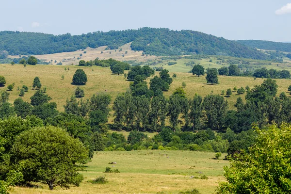 Krajobraz Viscri Rumunii — Zdjęcie stockowe