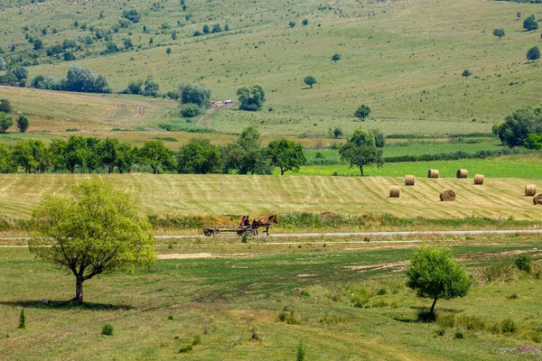Viscri Manzarasında Bir Arabası — Stok fotoğraf