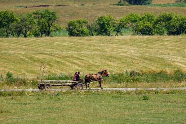 Een Paardenkoets Het Landschap Van Viscri Rechtenvrije Stockfoto's