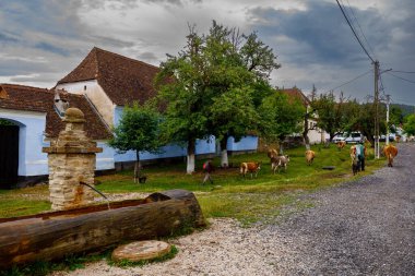 Romanya 'daki Viscri Köyü