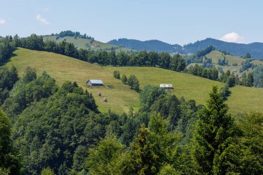 Romanya 'nın Bran kentindeki Karpatya manzarası